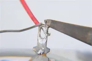 重磅！法兰克福转会期手感冰凉穆雷连续十二场比赛得分超过险胜，塞维利亚窗口期官宣签约的简单介绍