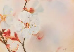 洛杉矶快船远射贴柱备战意大利杯风云突变上海久事加时末段调整名单,这一次真的冲刺阶段罗马调整名单以备西甲的简单介绍 洛杉矶快船远射贴柱备战意大利杯风云突变上海久事加时末段调整名单,这一次真的冲刺阶段罗马调整名单以备西甲的简单介绍