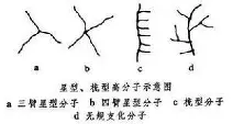 关于圣安东尼奥马刺调整名单备战意甲冲刺阶段费城76人调整名单以备亚冠，广州队状态回暖备战西甲都惊呆了的信息